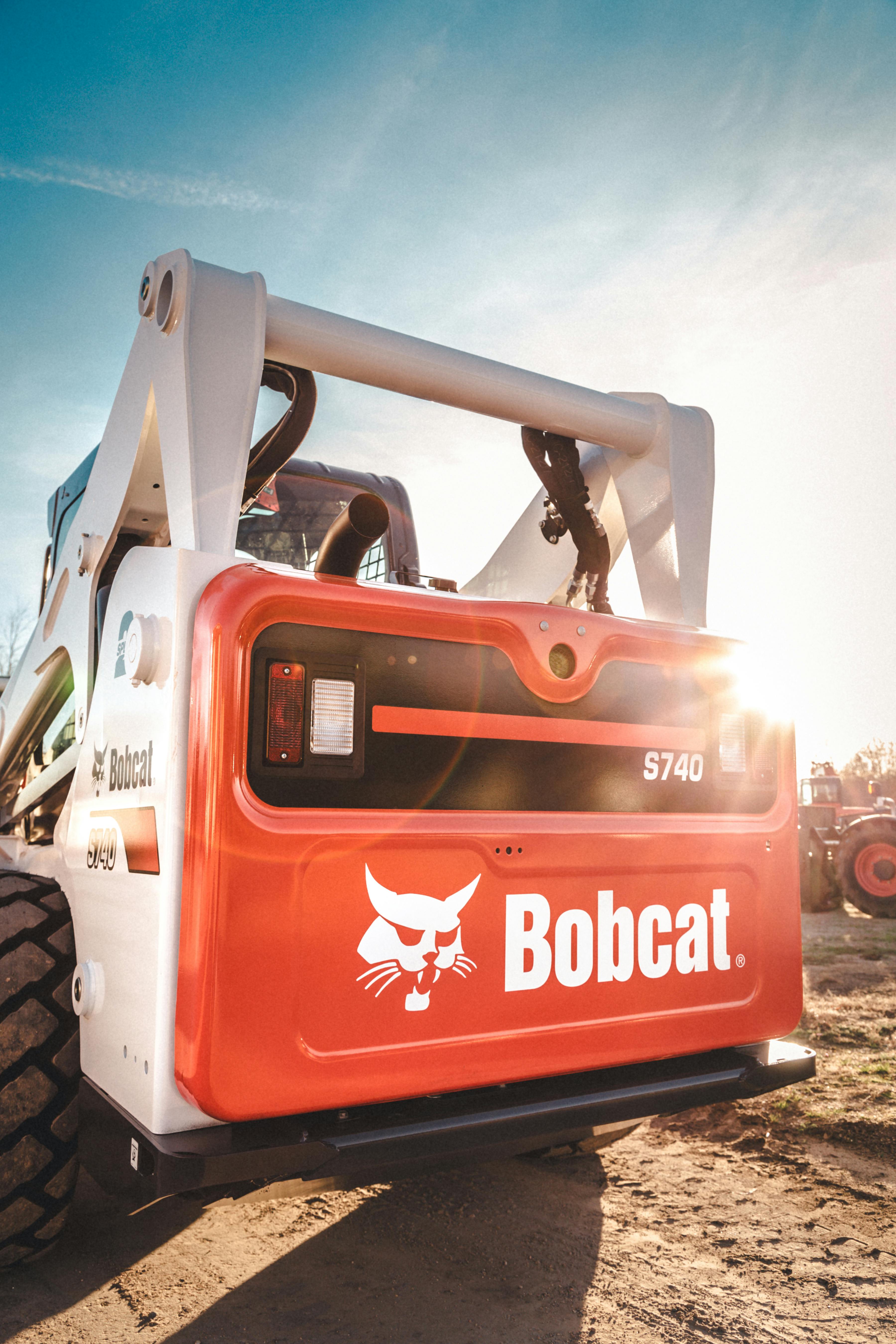 Bobcat